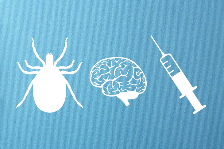 Kleszczowe zapalenie mózgu – dlaczego warto zabezpieczać zwierzęta przed pasożytami?!